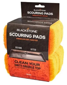 Blackstone 5063 Replacement Scouring Pad, Nylon Abrasive, 5-1/2 in L, 4 in W, Orange :PK 6: QUANTITY: 1