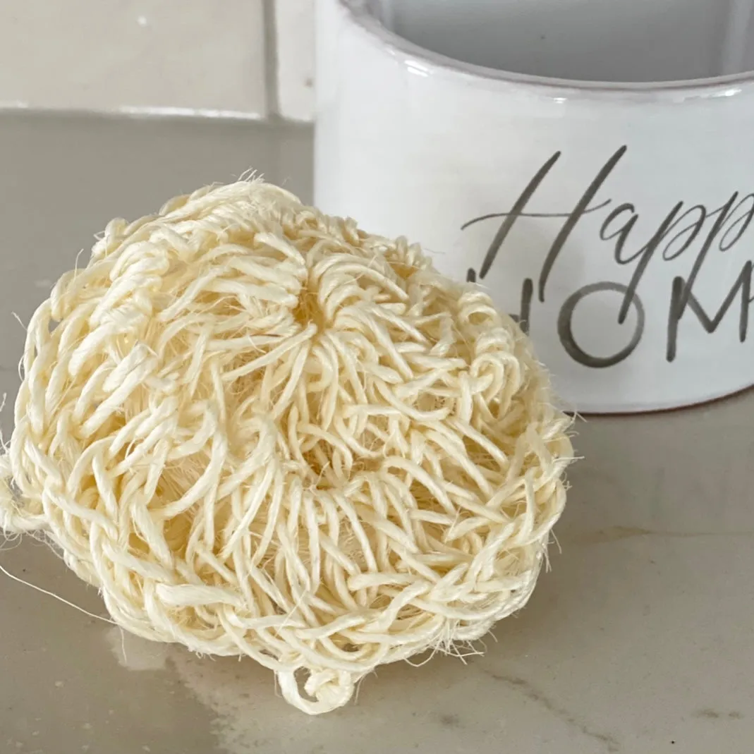 Happy Home Soap Dispenser w/Sponge