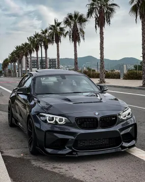 OEM White LED DRL Module - BMW F87 M2 & F22 2 Series