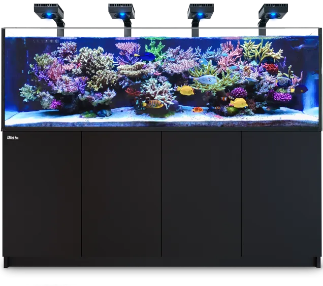 Red Sea Reefer G2  900 Deluxe 240 Gallon